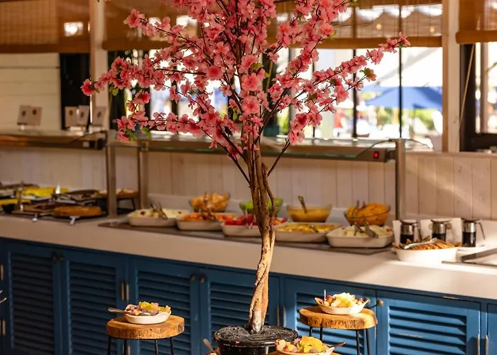 Corallium By Lopesan - Adults Only 3* San Agustín