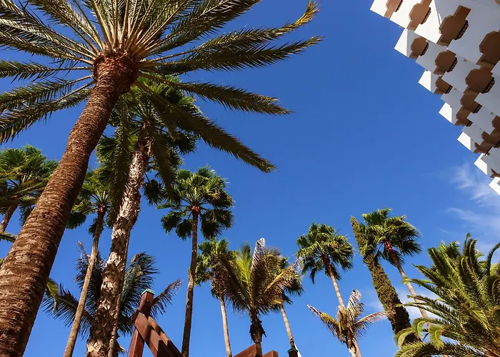 Hotel Corallium By Lopesan - Adults Only 3*